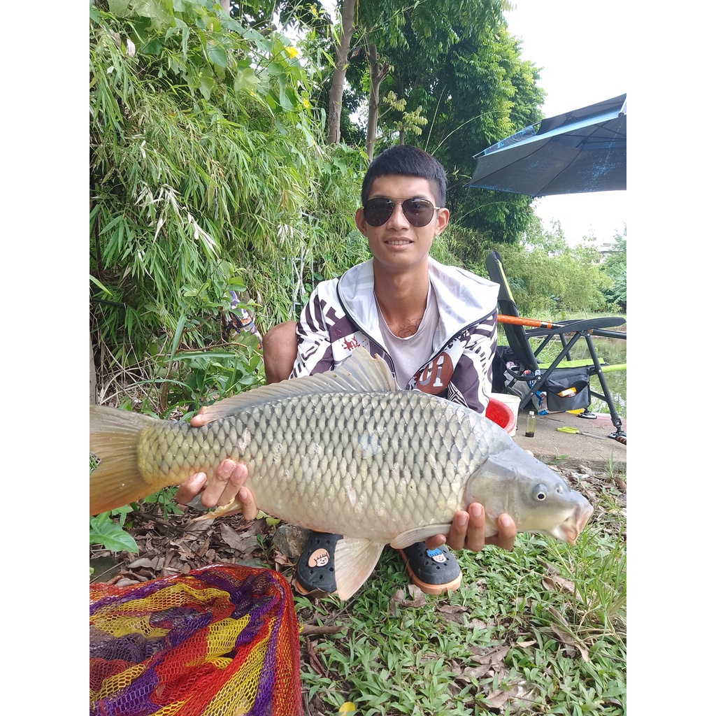 Combo Mồi Câu Cá Chép Số 1 Buns Fishing