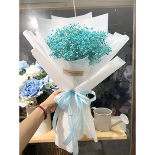 Bó Baby khô xanh