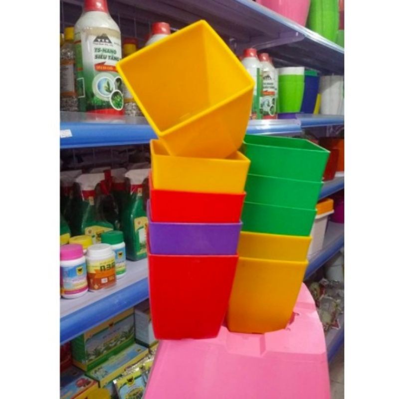 Combo 10 chậu nhựa dáng vuông loại nhỏ