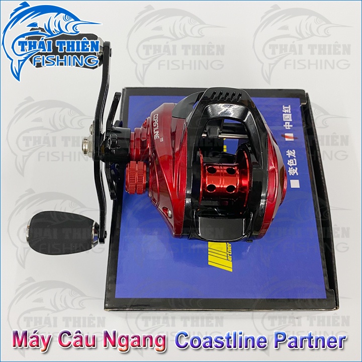Máy Câu Ngang Coastline Partner 8.0:1 Tay Quay Trái Dùng Lure Cá Lóc, Chẽm, Mú