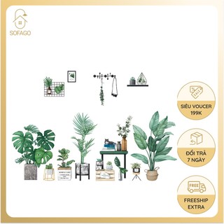 Decal dán tường phòng khách, tranh dán tường chậu cây xanh - SOFAGO