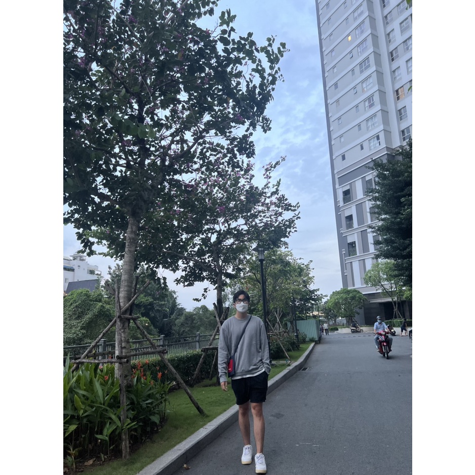 Áo nỉ GL hiệu Nga Basic Sweater_màu xám khói