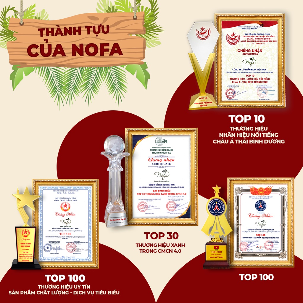 Trái cây sấy dẻo NOFA không đường 500g Mix 5 loại Dâu tây, Kiwi, Nam Việt Quất, Mơ, Nho nhập khẩu, Ăn Vặt Giảm Cân