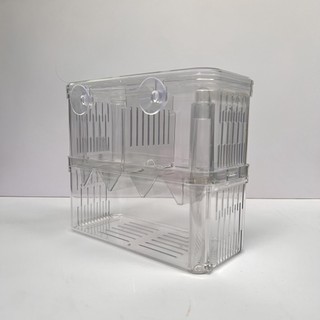 Lồng đẻ mica tách cá đẻ an toàn, lồng đẻ tách đẻ cá bảy màu, cá molly, cá mún và những dòng cá đẻ con