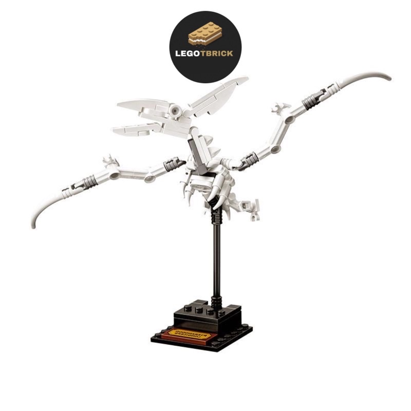 Đồ chơi lắp ráp mô hình Mô hình Xương Khủng Long Hóa Thạch - Dinosaur Fossils - Tbrick - nonlego
