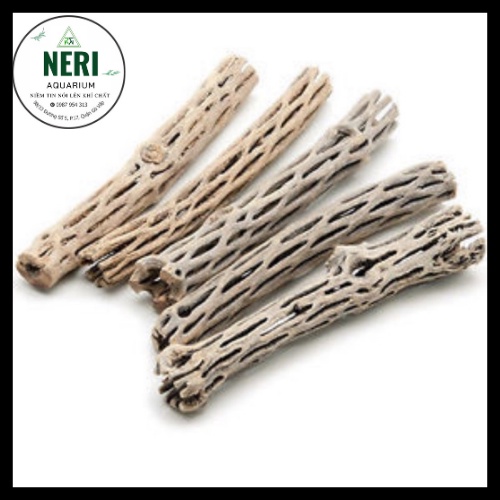 Lũa Cholla Staghorn Cactus Wood Xương Rồng Nhỏ Trang Trí Bể Tép Ngăn Ngừa Bệnh,