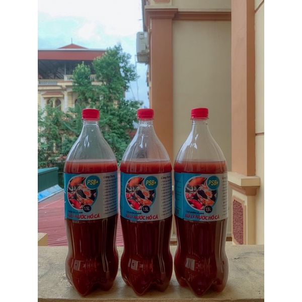 Vi Sinh PSB+