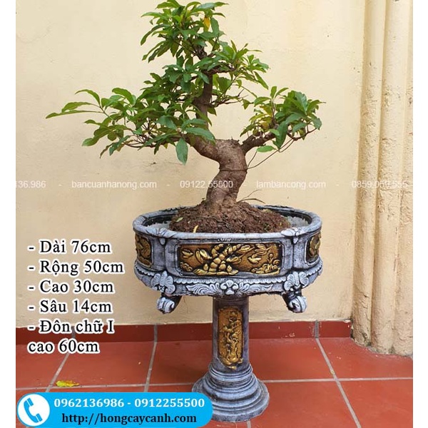 Ang xi măng hình bầu dục 75x50x30cm