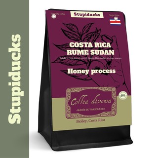 Cà Phê Đặc Sản Costa Rica Rume Sudan Coffea Diversa Honey Process - Stupiducks Specialty Coffee