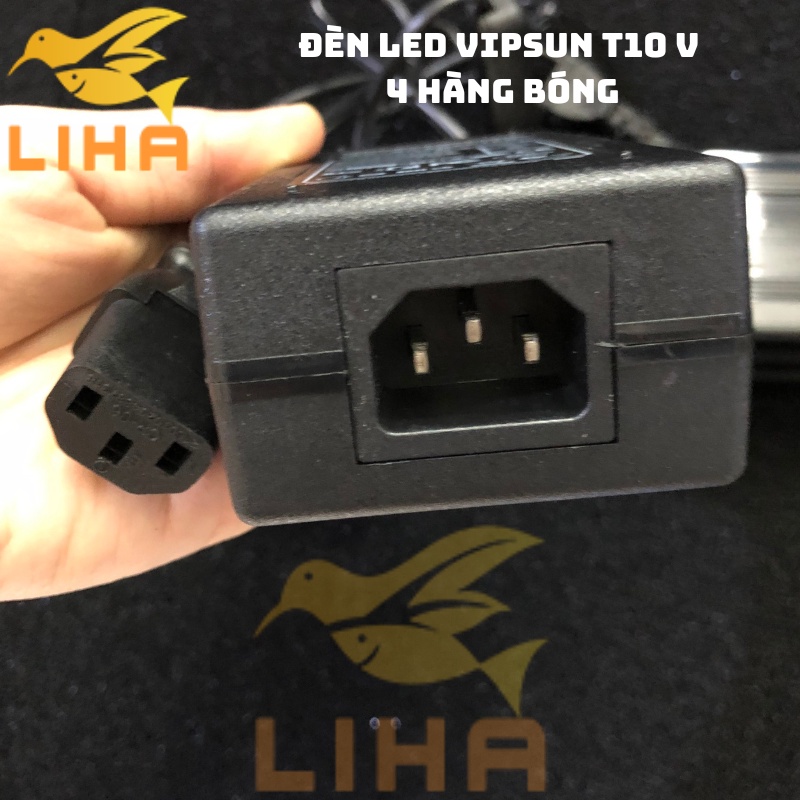 Đèn Led Vipsun T10-V - Đèn T10 4 Hàng Bóng Tanning Cá Rồng Huyết Long, Bối Vàng
