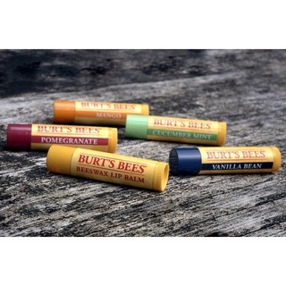 Son dưỡng môi Burt's Bees Moisturizing Lip Balm của Mỹ