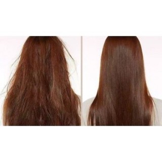 [TẶNG DẦU XẢ 250ML- XỊT BƯỞI 100ML] Dầu Gội Bồ Kết Thảo Mộc 500ML