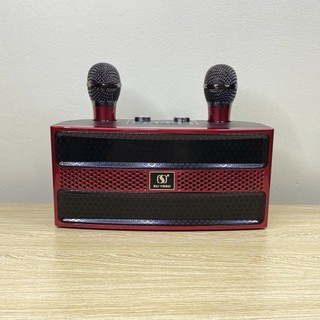 Loa Karaoke Bluetooth YS-202 Kèm 2 Micro Không Dây