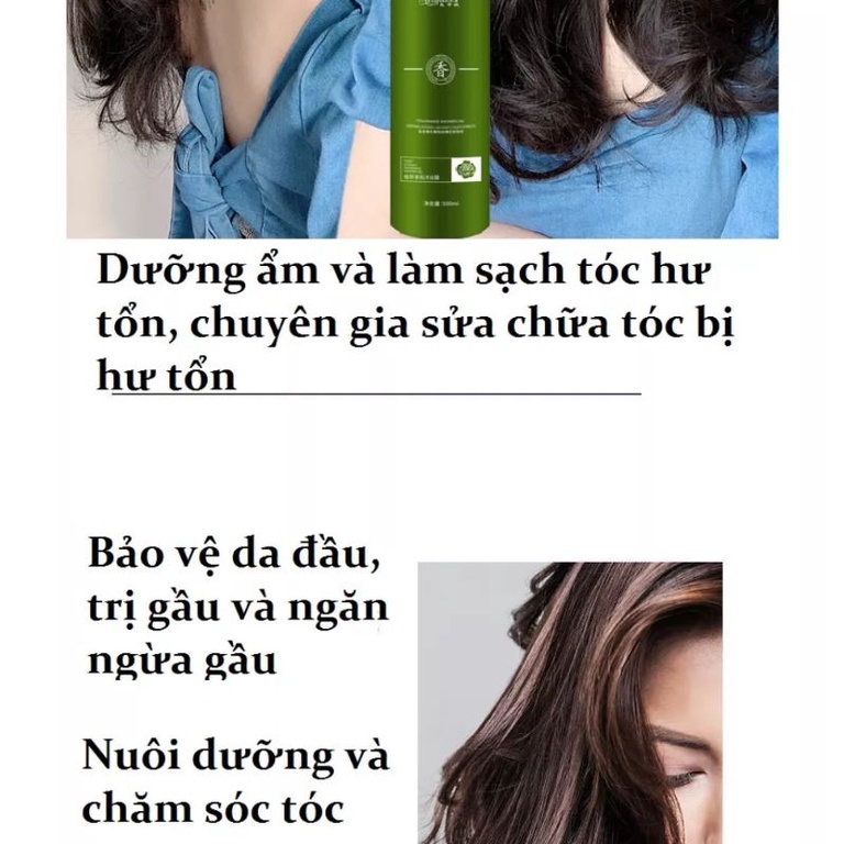 Sữa tắm / Dầu gội với hương thơm nước hoa Meiyanni 500ml