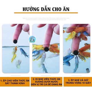 Thức ăn dán kính Sunsun cho cá