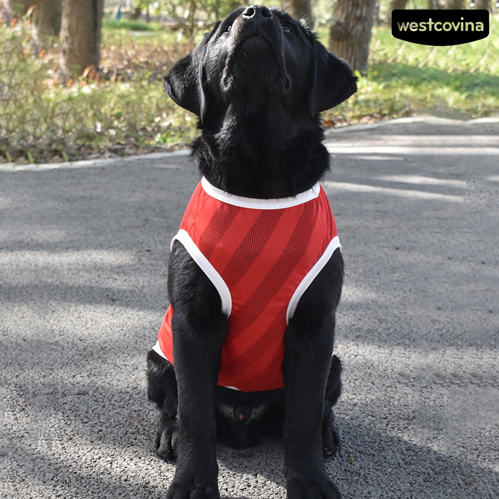 [COD]♘Áo Thun Thể Thao Dạng Lưới Thoáng Khí Cổ Tròn Dành Cho Cún Cưng