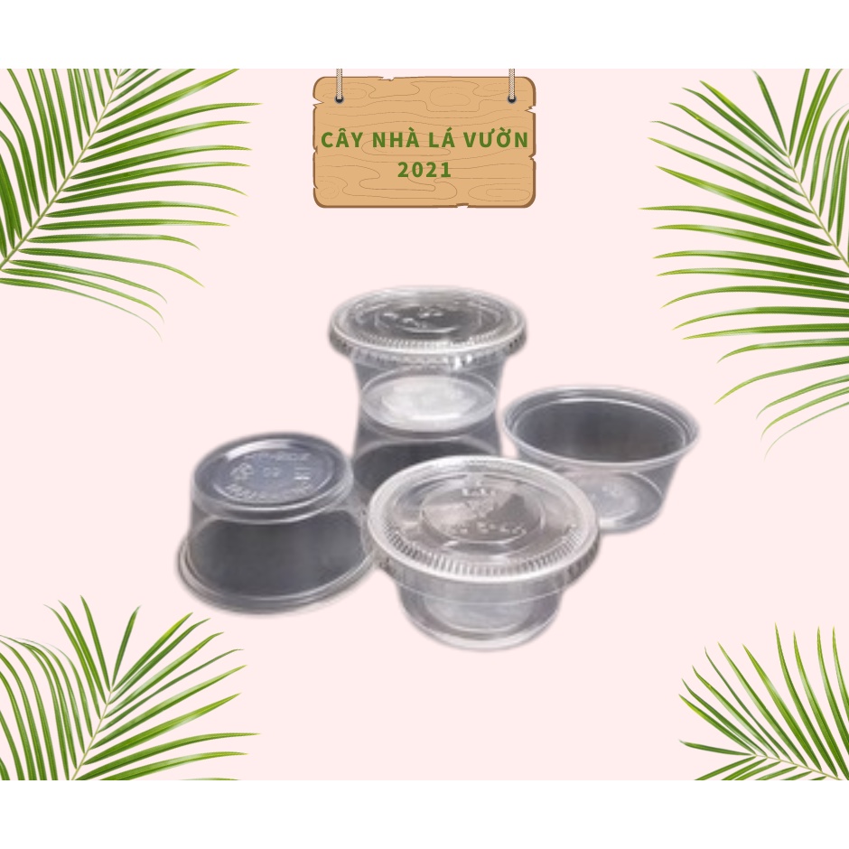 Hũ Sốt TTK Pp Nắp Pet