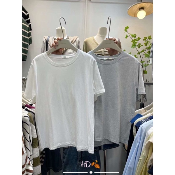 Áo thun trơn nữ basic cổ tròn chất mịn from dáng vừa hàng QC - hàng có sẵn