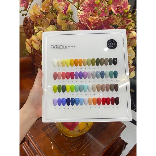 Set sơn gel 60 màu Very Good Nail Hàn Quốc