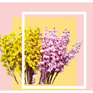 Cành hoa mai, cành hoa đào, đào đông trang trí Tết, hoa mai giả có lá, cành, nụ, búp