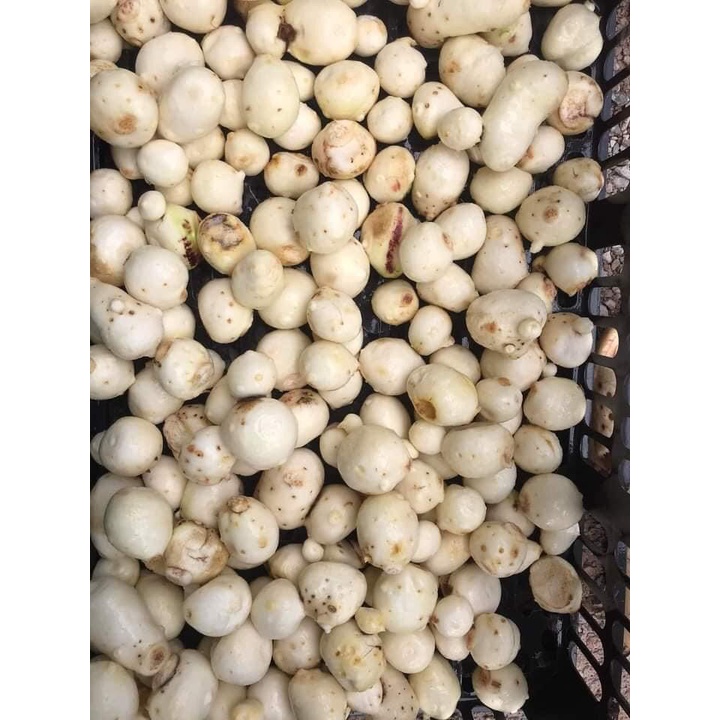 Khoai sọ bở, thơm ngon 500g-1kg có hỗ trợ cạo sạch vỏ - Ship hoả tốc Hà Nội