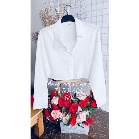 Áo vin thun dáng croptop