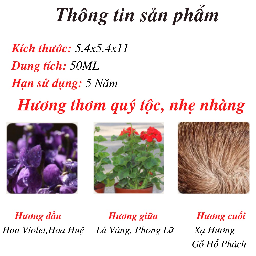 Nước Hoa Nam, Nước Hoa Sin.gular Hương Thơm Quý Tộc, Nhẹ Nhàng, Giữ Hương Thơm Lâu, Dung Tích 50ML