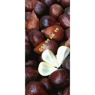 (Mưa không về hàng nhé)TRÁI MÂY INDO SALAK GIÒN NGỌT ( 1KG ), KHÔNG QUA TRUNG GIAN, hàng về giao hết sỉ trong ngày