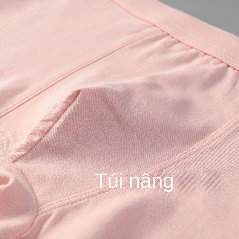 Quần Lót Cotton Kháng Khuẩn In Họa Tiết Gấu Và Dâu Tây Dễ Thương Thời Trang 2023 Cho Cặp Đôi