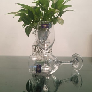 Ly rượu vang 410ml GL3011 Deli