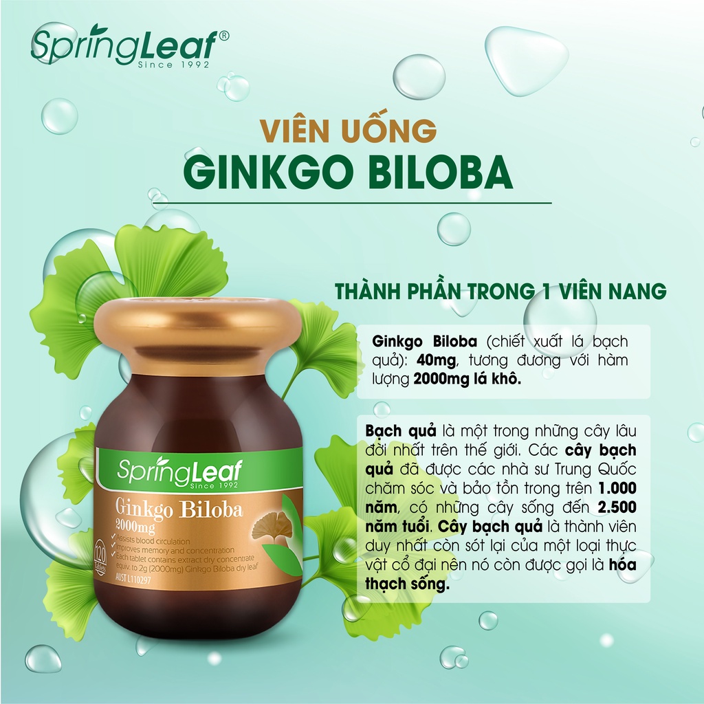 Viên uống Ginkgo Biloba Spring Leaf  2000mg hỗ trợ cải thiện tuần hoàn máu não  120 viên Úc