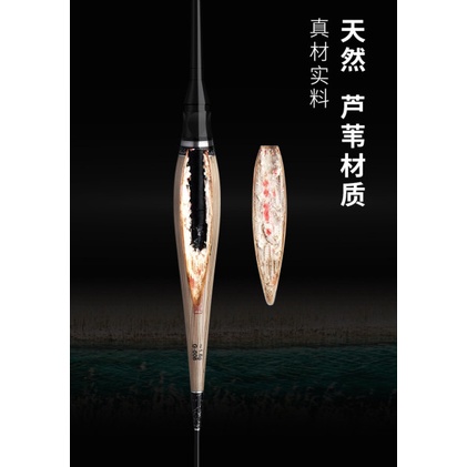 PHAO ĐIỆN CỎ LAU LÂU NĂM CAO CẤP CÂU ĐÊM LUGE