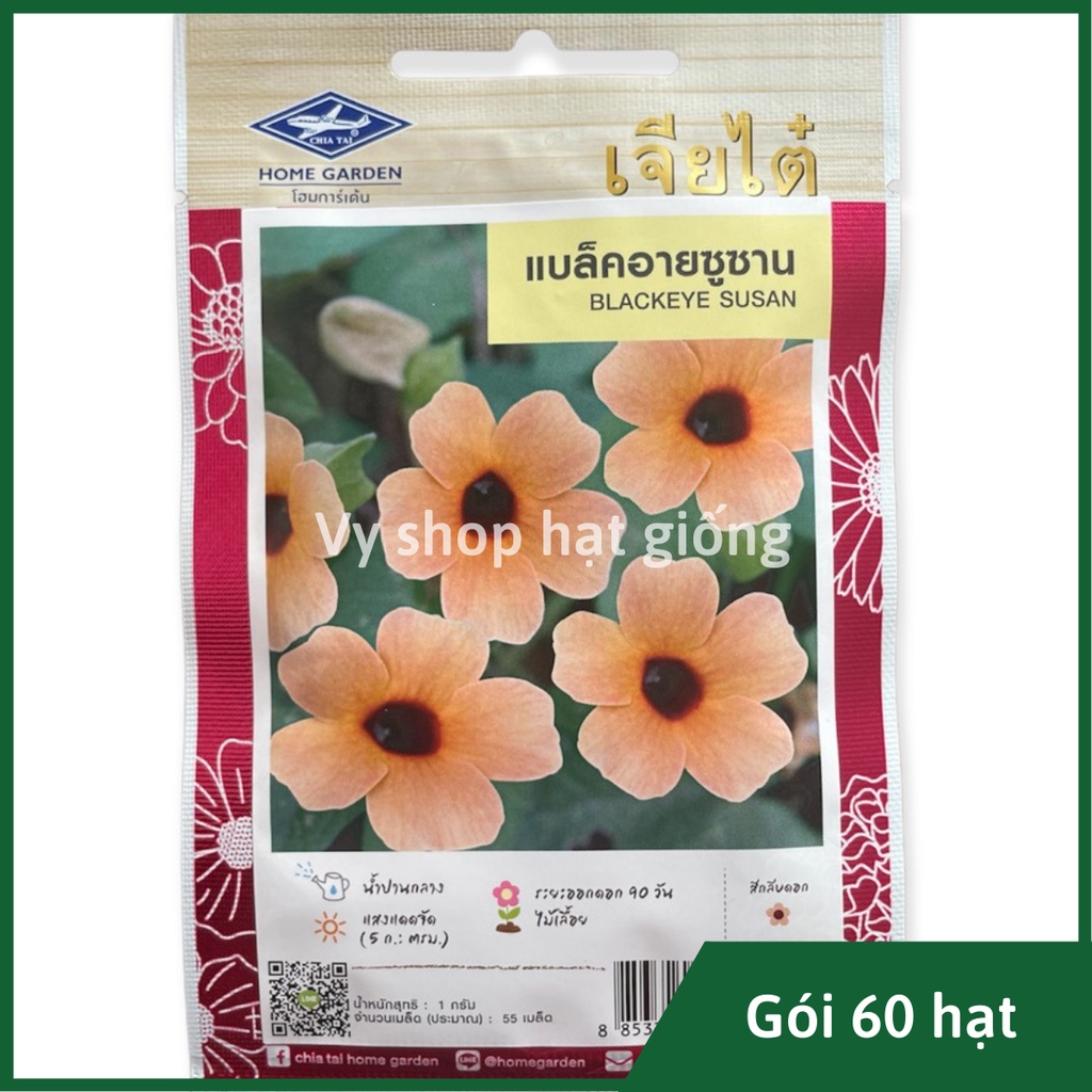 Hạt giống hoa mắt huyền (dây leo ánh dương) Thái Lan gói 60 hạt