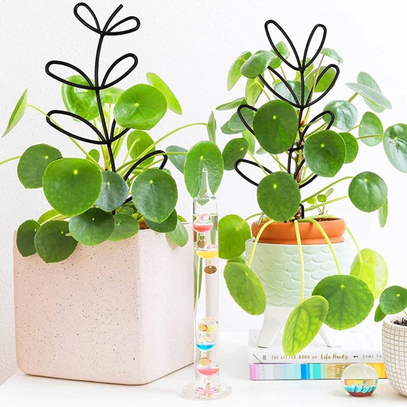 Giá Đỡ Cây Hoa / Cà Chua / Hoa Mẫu Đơn Bằng Kim Loại Kích Thước 12 4-inch Màu Đen