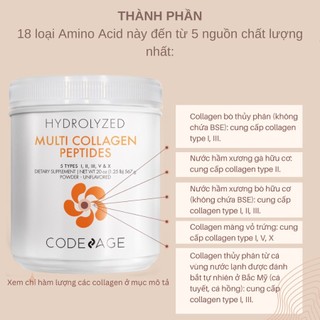 Bột Collagen Codeage Thủy Phân Hỗ Trợ Trẻ Hóa Toàn Diện Codeage Multi Collagen 567g - AJA'S SKINLAB