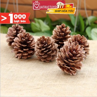 Quả thông trang trí loại tự nhiên/ màu bạc/ màu vàng