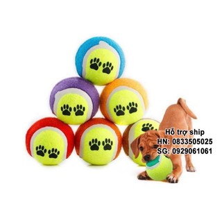 Đồ chơi chó mèo Bóng tennis in hình dấu chân dễ thương cho thú cưng