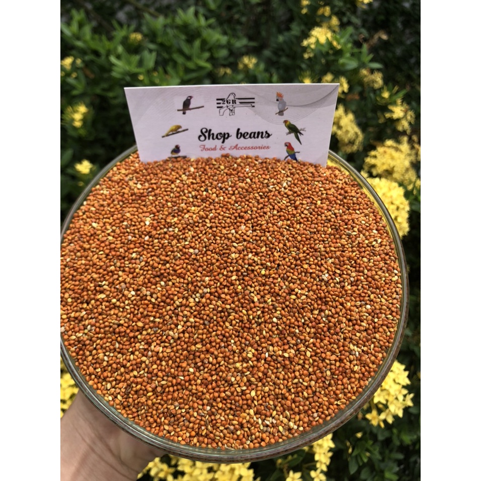 1kg kê đỏ nhỏ cho chim finch, manh manh, 7 màu , yến hót , yến phụng và các dòng vẹt nhỏ lb,..