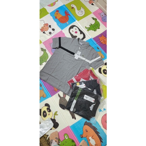 Áo polo cá sấu chính hãng từ 50-90kg