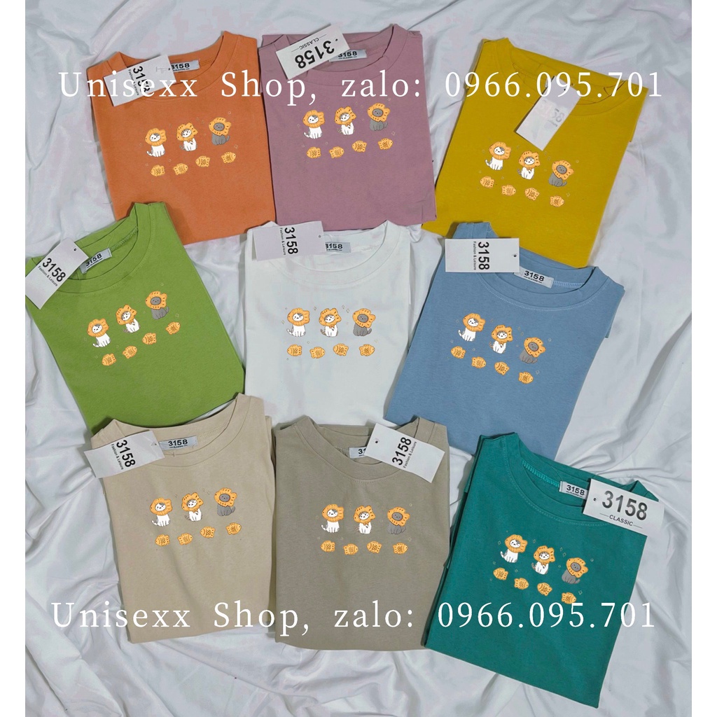 Áo Thun Phông 3158 Nam Nữ Tay Lỡ Form To Rộng Hàng Quảng Châu Chất cotton Khô loại 1 In Hình Mèo Dễ Thương_Unisex