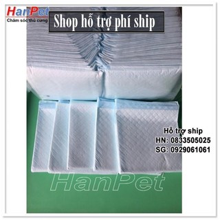 Hỗ trợ Ship- 10 miếng tã lót khay vệ sinh, lót chuồng chó, lót sàn xe - size to 45x60cm (sunzin 393c)