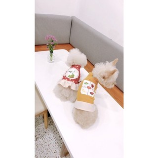 ÁO DÀI TẾT 🧧🧧🧧 (Quần áo thú cưng)