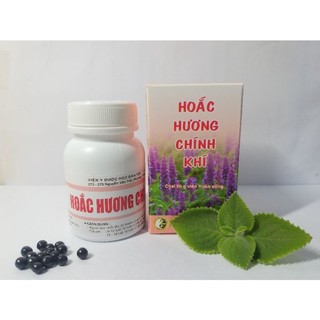 Cảm lạnh gió, rối loạn tiêu hóa - hoắc hương chính khí - viện y dược học dân tộc tphcm