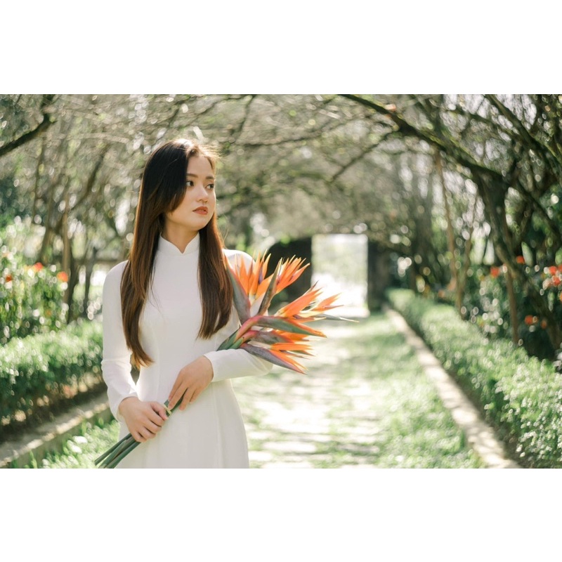 Ống kính Helios 44-2 58/2 by KMZ, MMZ/Belomo