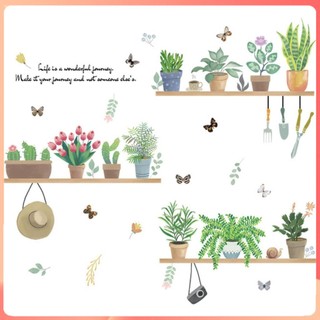 Decal dán tường cây xanh, chậu hoa nhỏ