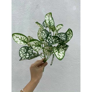 Lá cây nhỏ