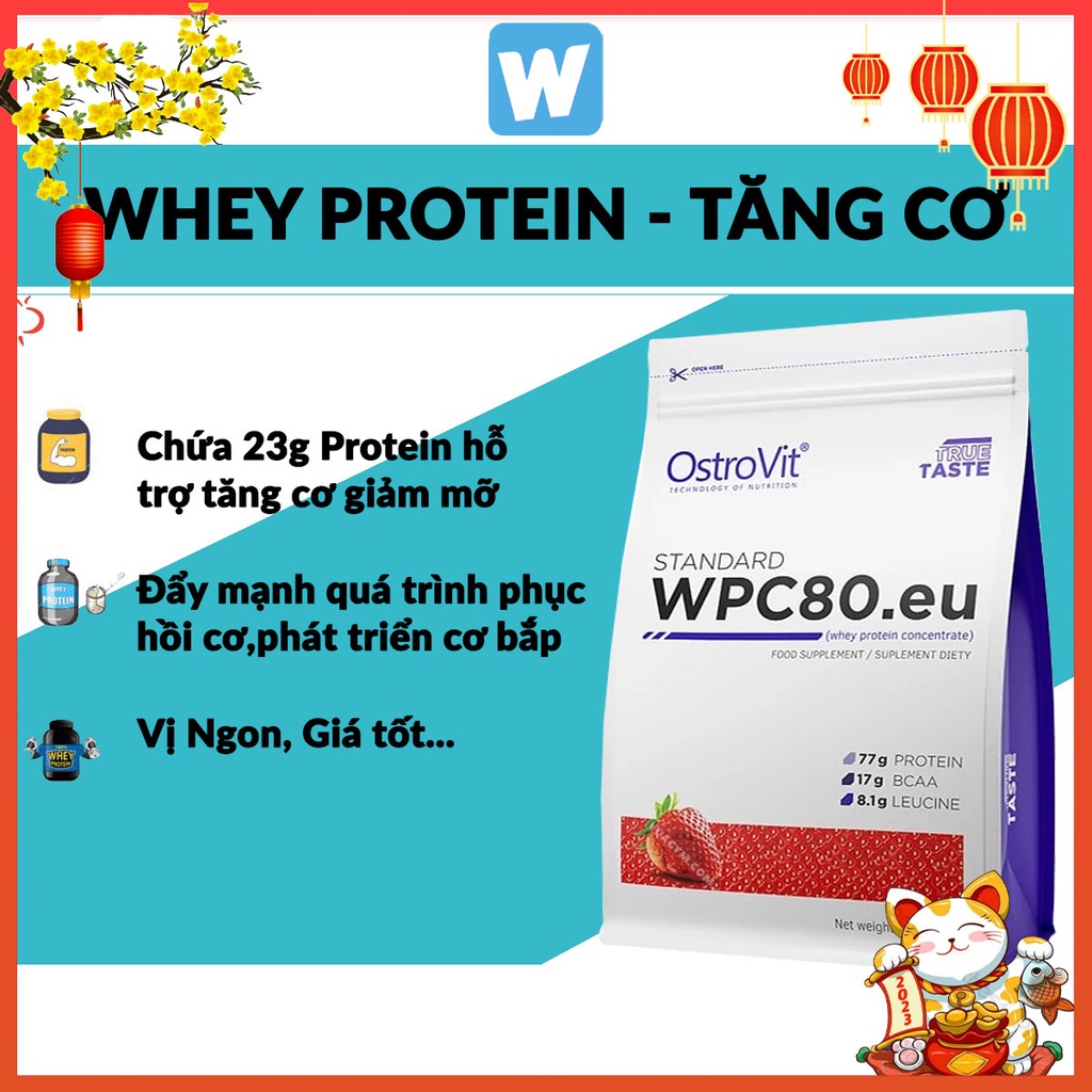 Thực Phẩm Bổ Sung Tăng Cơ Whey Ostrovit WPC80.eu Whey Protein Concentrate