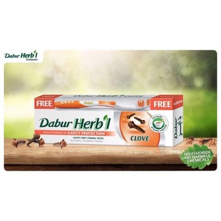 Hạn 4.2027 - Kem đánh răng đinh hương Dabur Herbal toothpaste with Clove 155g
