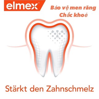 Set kem đánh răng sáng và tối Elmex Đức