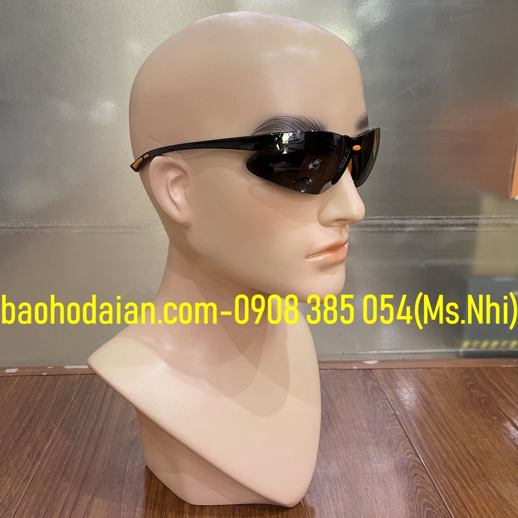 Kính bảo hộ chống động sương, chống tia UV bảo vệ mắt EVEREST 304- Hình Thật